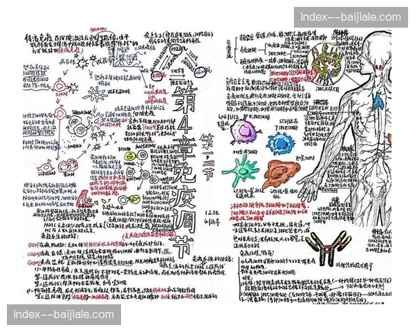 生物特征数据实时叠加画面 赛事叙事逻辑正发生巨变